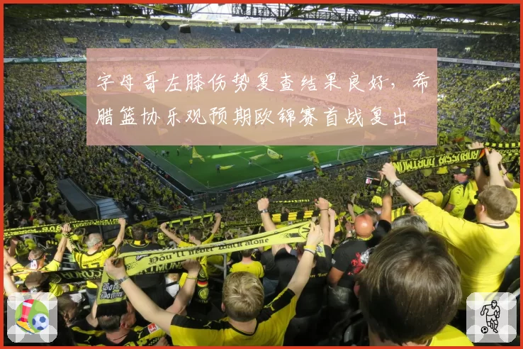 字母哥左膝伤势复查结果良好，希腊篮协乐观预期欧锦赛首战复出